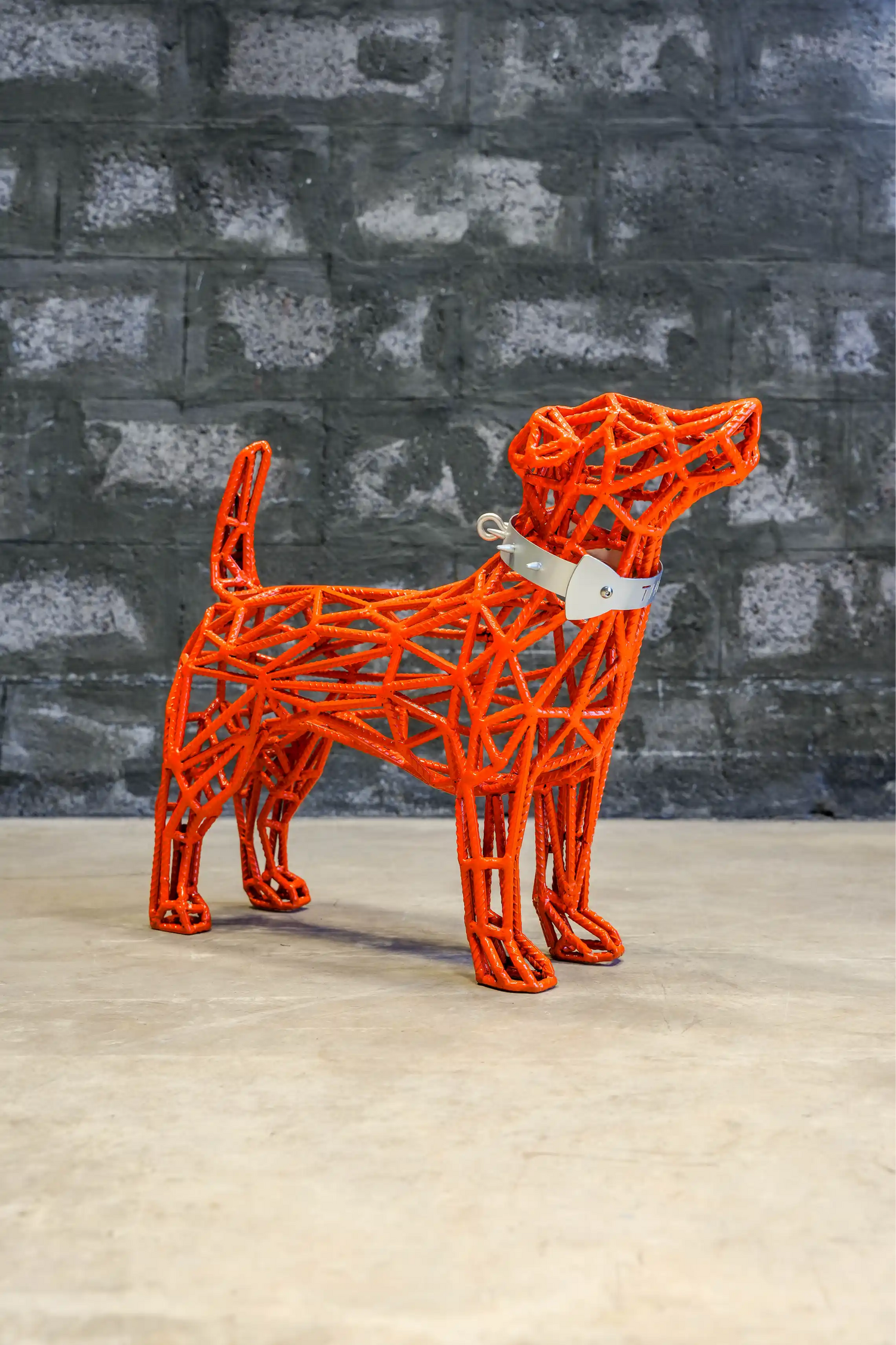 Thor - A Jack Russell Dog