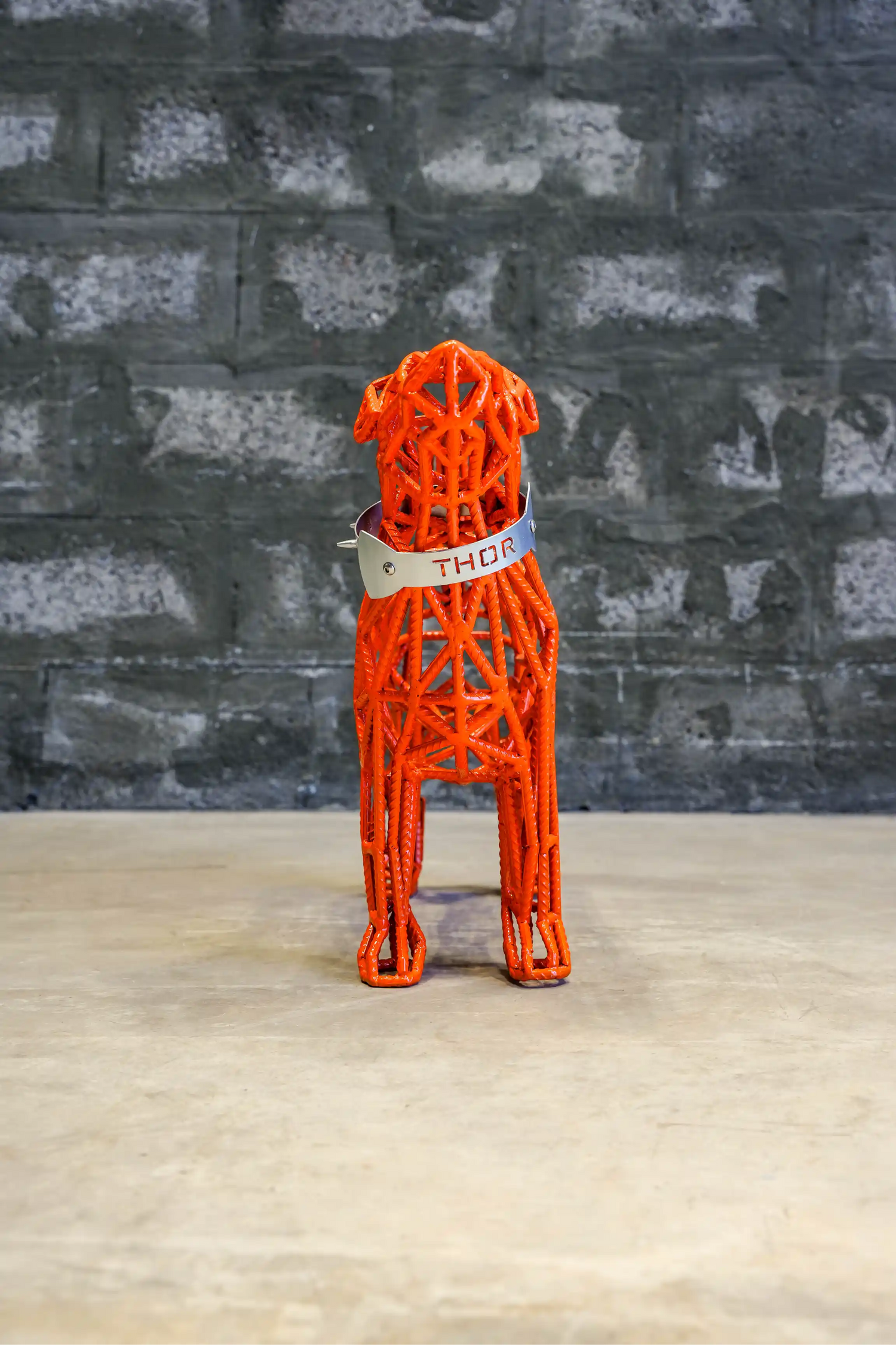 Thor - A Jack Russell Dog