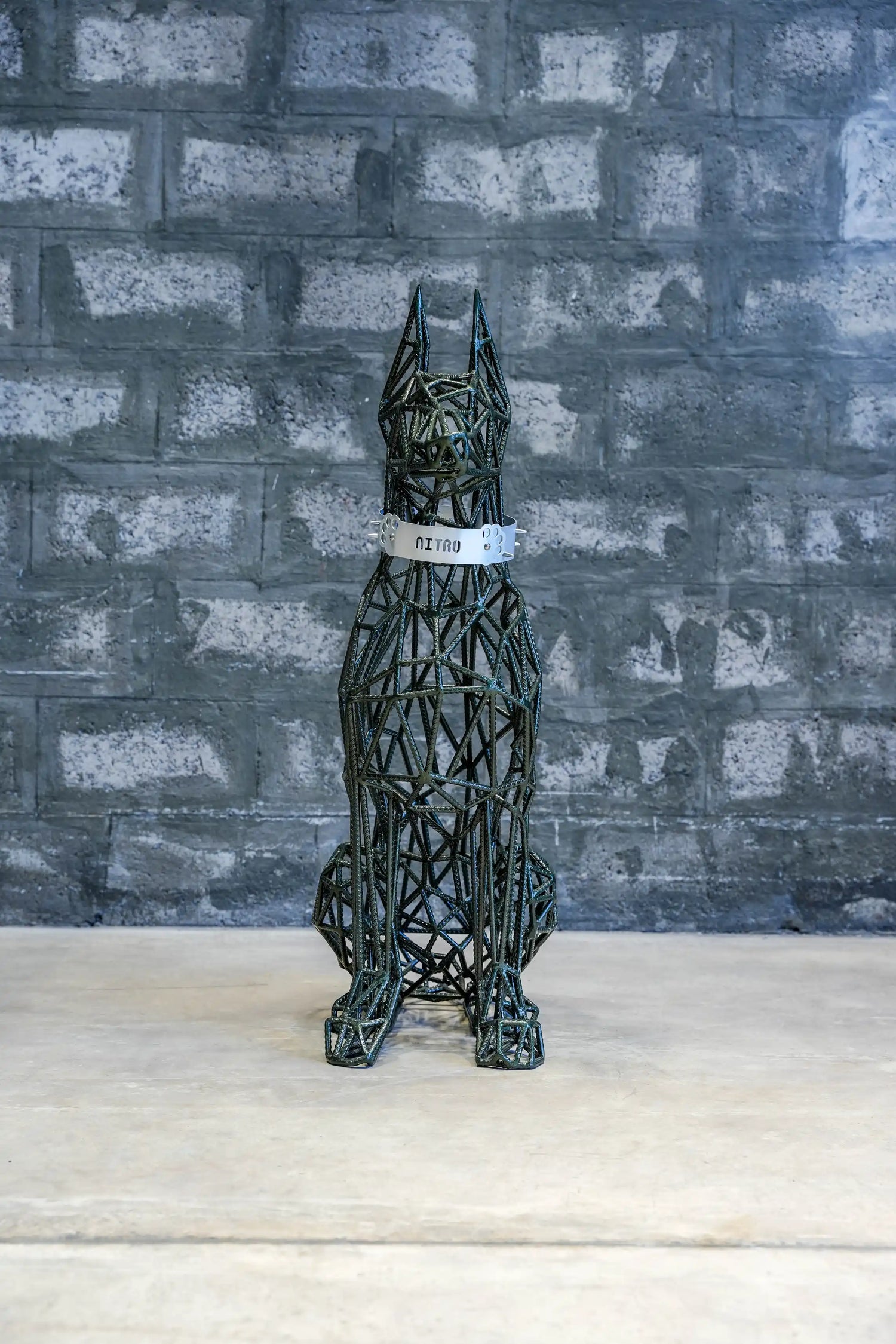 Nitro - Doberman a powerful dog