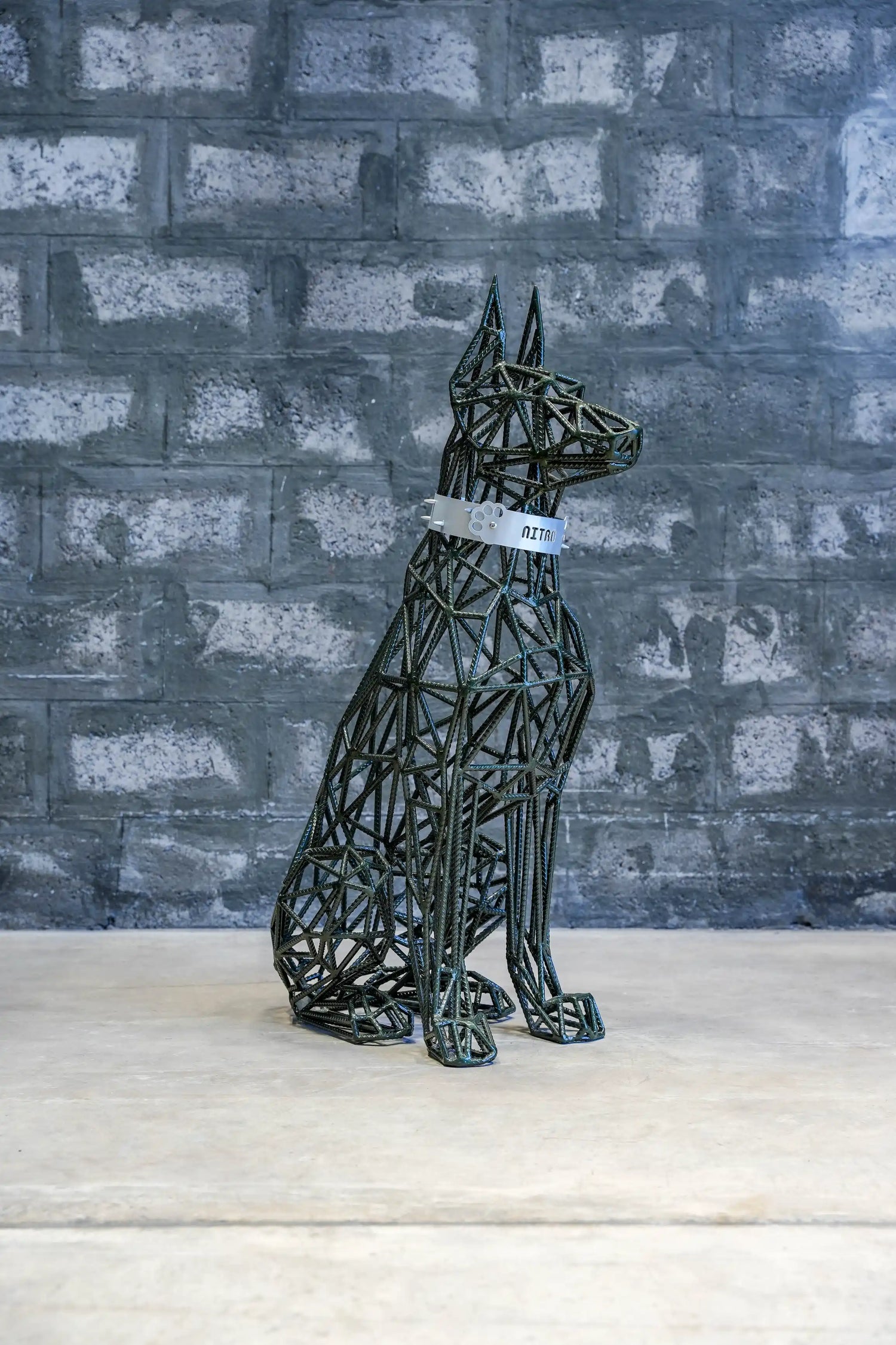 Nitro - Doberman a powerful dog